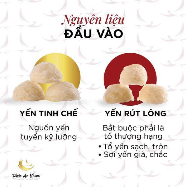 So sánh 2 dòng yến Tinh Chế Thượng Hạng và Rút Lông Thượng Hạng