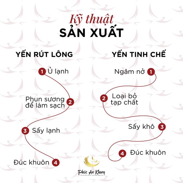 So sánh 2 dòng yến Tinh Chế Thượng Hạng và Rút Lông Thượng Hạng