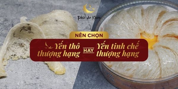 So Sánh Yến Thô và Yến Tinh Chế Thượng Hạng
